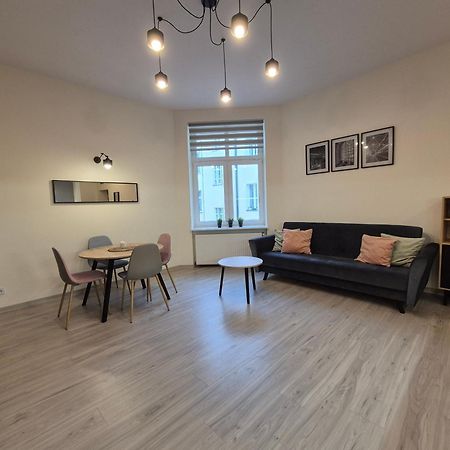 Duzy Komfortowy Apartament W Samym Centrum Przy Manufaktura I Piotrkowska, Blisko Zoo, Fala Apartman Łódź Kültér fotó